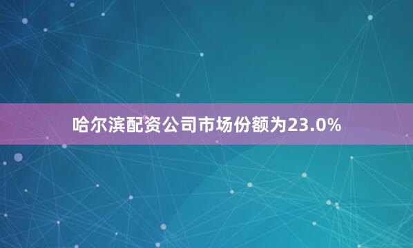 哈尔滨配资公司市场份额为23.0%