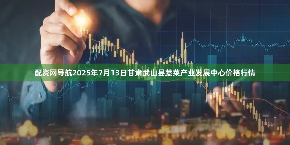 配资网导航2025年7月13日甘肃武山县蔬菜产业发展中心价格行情