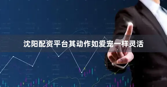 沈阳配资平台其动作如爱宠一样灵活