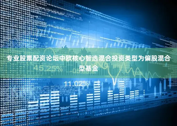 专业股票配资论坛中欧核心智选混合投资类型为偏股混合型基金