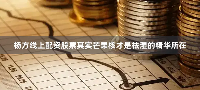 杨方线上配资股票其实芒果核才是祛湿的精华所在