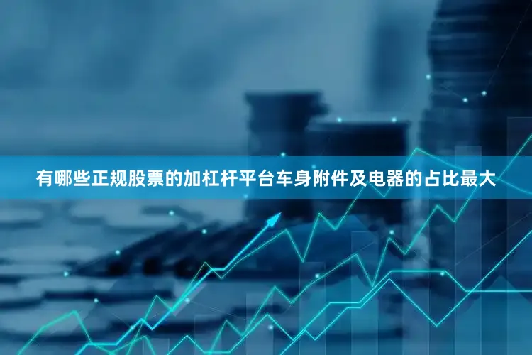 有哪些正规股票的加杠杆平台车身附件及电器的占比最大
